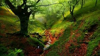The Enchanted Forest Computer Wallpaper Desktop Background