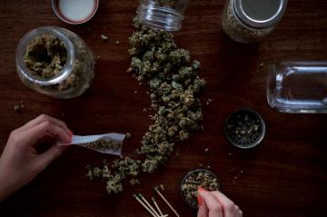 Weed Background Image HD Background