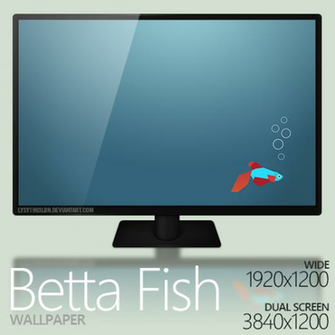 Betta Fish Wallpaper By Lysy1993lbn Windows