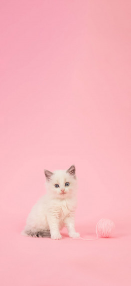 HD Girly iPhone Wallpaper For Xs Xr X