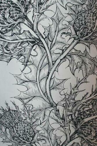 Timorous Beasties Wallcoverings Thistle