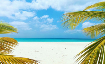 Turn Your Remote Work Into A Workation In Aruba Visit