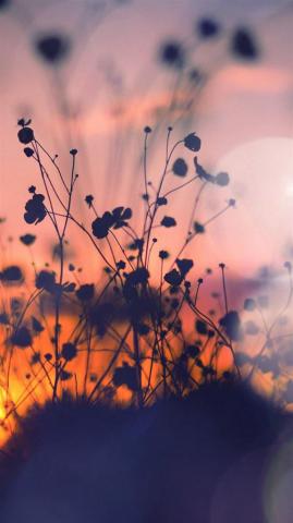Best Shadow iPhone HD Wallpaper
