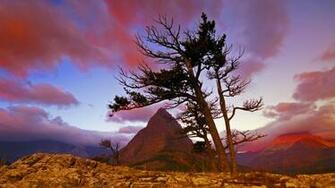 Wallpaper Screen Savers Google Screensavers And