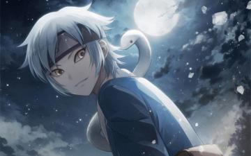 Mitsuki Boruto Wallpaper Broken Panda