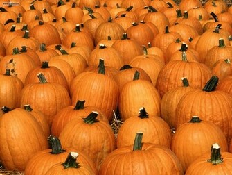 Miscellaneous Pumpkin Party Picture Nr