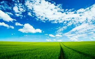 HD iPhone Cute Desktop Wallpaper Nature Scene