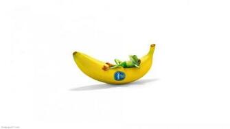 Chiquita With Frog Funny Fun Wallpaper Cute