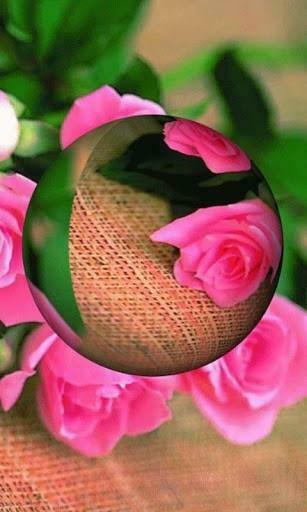 Bigger 3d Rose Live Wallpaper For Android Screenshot