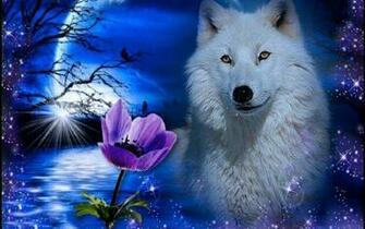 White Wolf Wallpaper