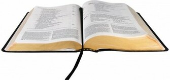De Critz Bible References Visualization Infographic Cross