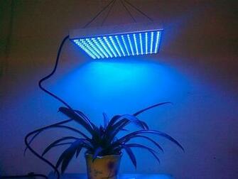Led Grow Light All Blue 460nm Shipping Plant