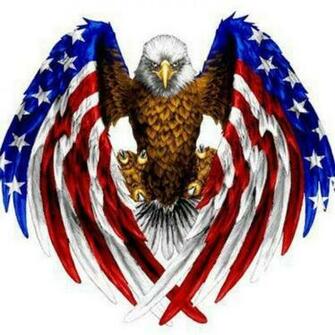 American Flag Eagle Bald Eagles