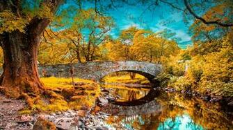 Wallpaper River Fall Pond Grass