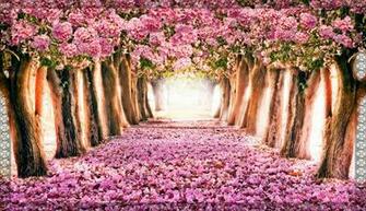 Spring Wallpaper Computer Image