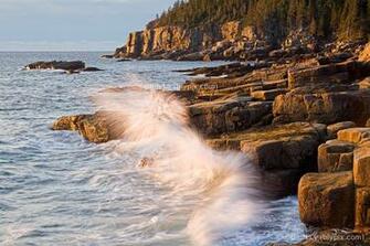 Otter Point Acadia National Park Wallpaper Photo Art Print