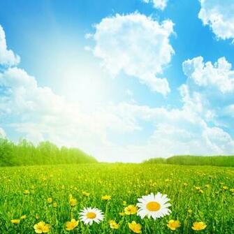 Flowers And Scenery Previous Next By Admin June Landscape No