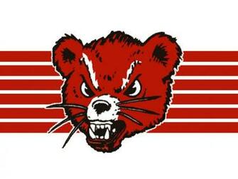 University Of Cincinnati Bearcats Hockey Est