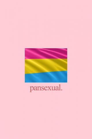 Wallpaper Pansexual Proud And Pride Flag