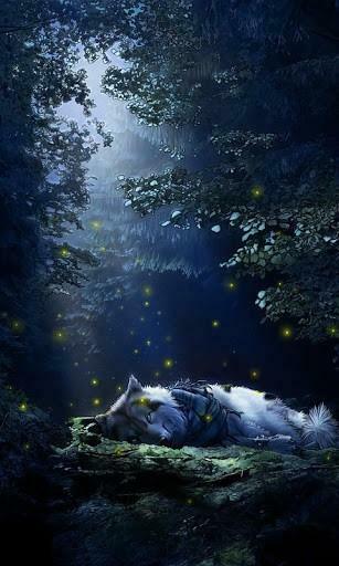 Bigger Fireflies Wallpaper HD 3d For Android Screenshot