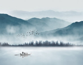 Wall Mural Wallpaper