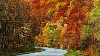 Fall Wallpaper Covers Printables By Kate Net