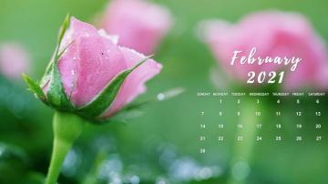 February Calendar Wallpaper Desktop Laptop Computer Background