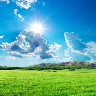 Noon Grassland iPad Background Best Wallpaper