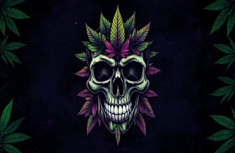 Wallpaper Of Weed Skull