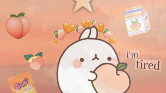 Peach Color Aesthetic Wallpaper