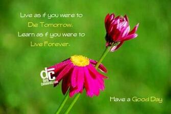Beautiful Good Morning Have A Nice Day Image