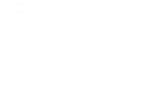 White Solid Color Background And The Below