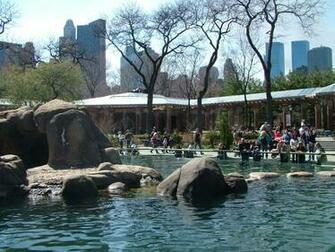 Central Park Zoo High Quality HD Desktop Fine Wallpaper