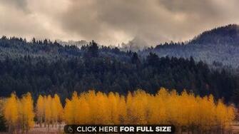 Fall Wallpaper Photos And Desktop Background Up To 8k