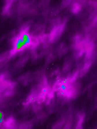 Yung Lean Wallpaper Background