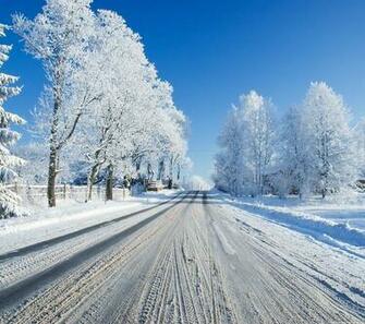 Winter Screen Background