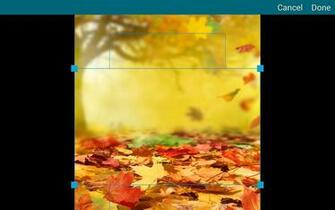 Autumn Wallpaper 4k Android Apps Und Tests Androidpit