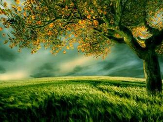 Beautiful Digital Scenery Wallpaper On This Background