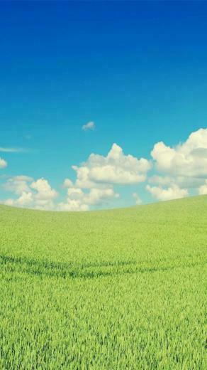 Cloud Sky Green Wallpaper Sc Smartphone