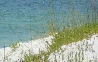 Beach Layouts And Wallaper Backfrounds Of Florida Beaches