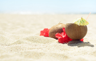 Wallpaper Sand Sea Beach Summer The Sky Flowers Coconut