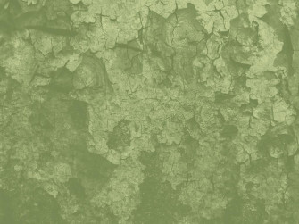 The Best Aesthetic Sage Green Computer Background Wallpaper