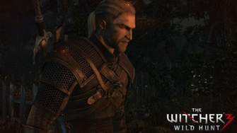 The Witcher Wallpaper By Romix44