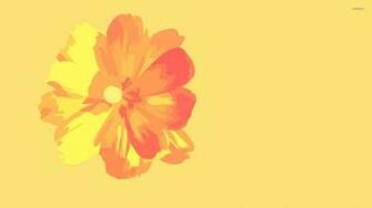 Orange Flower Wallpaper Questions Pictures Fotos