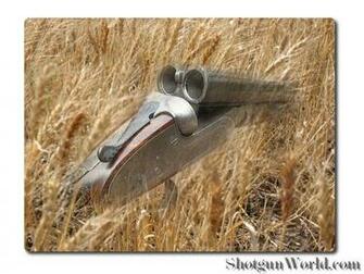 Pin Beretta Shotgun Wallpaper