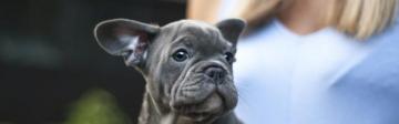 Cute Wallpaper S Collection Of The