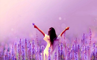 Lavender Desktop Wallpaper On