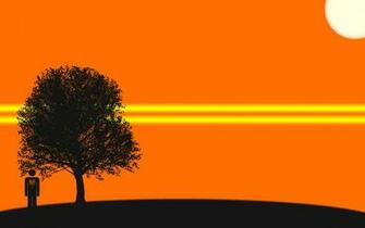 Tree Silhouette Wallpaper