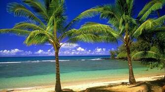 Natural High Definition Wallpaper For Windows And