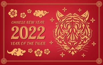 Chinese New Year HD Wallpaper Background Image